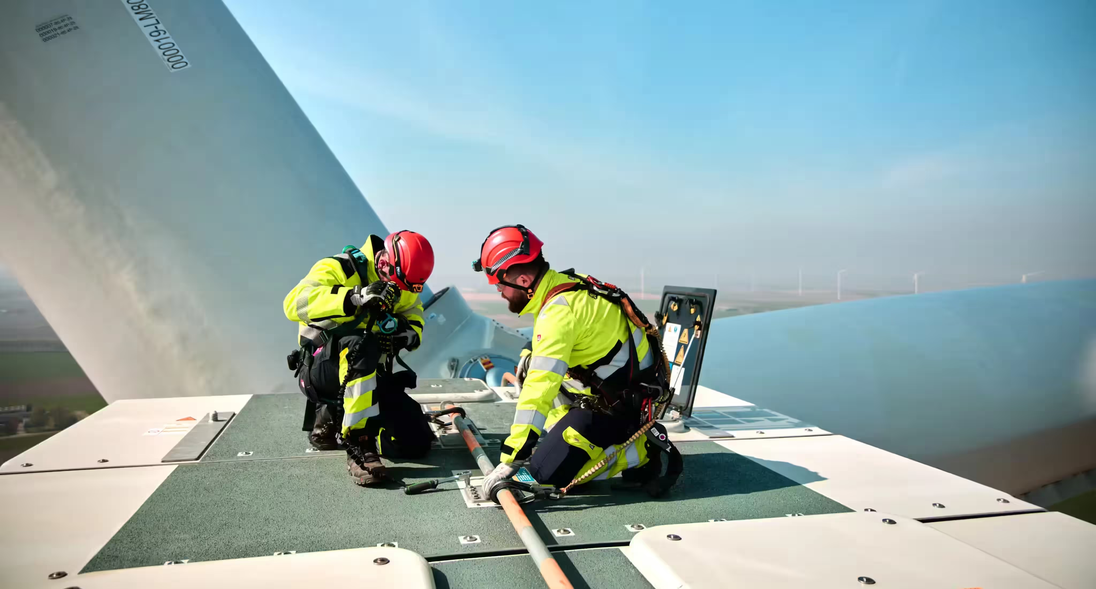 Decarbonize Image banner