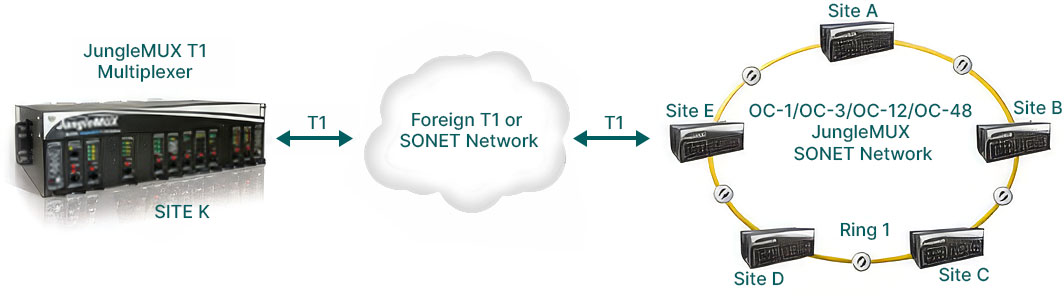 Hybrid JungleMUX T1 and JungleMUX SONET Multiplexer 