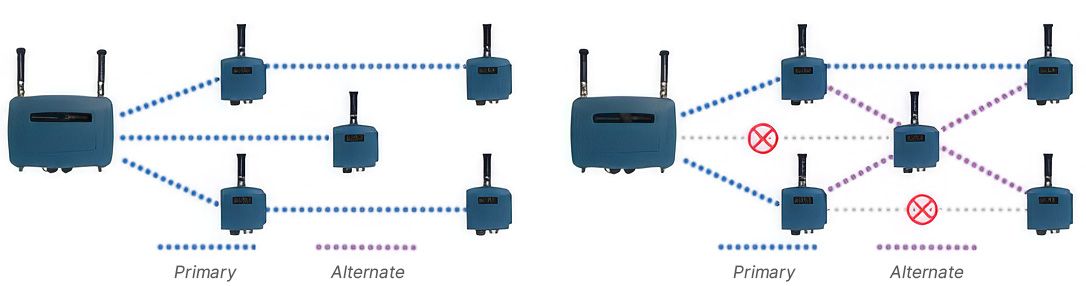 MDS Mesh Networking