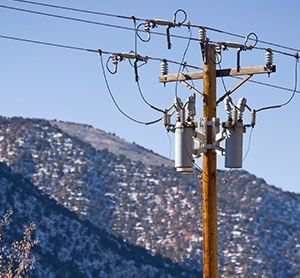 Distribution Transformers