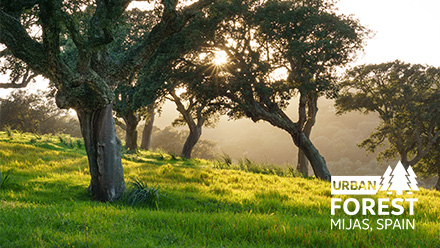 GE’s New Urban Forest Honors Grid Solutions Patent and Engineering & Technology Award Winners